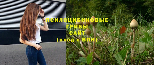 таблы Зерноград