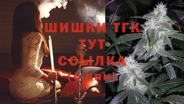 прущие крисы Зеленокумск